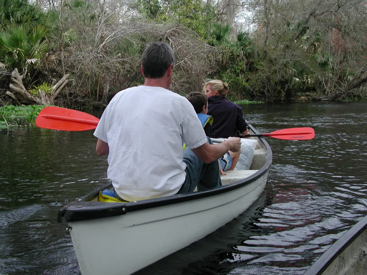 Paddlers in a white canoe on the Wekiva River between banks of palmettos and fallen trees