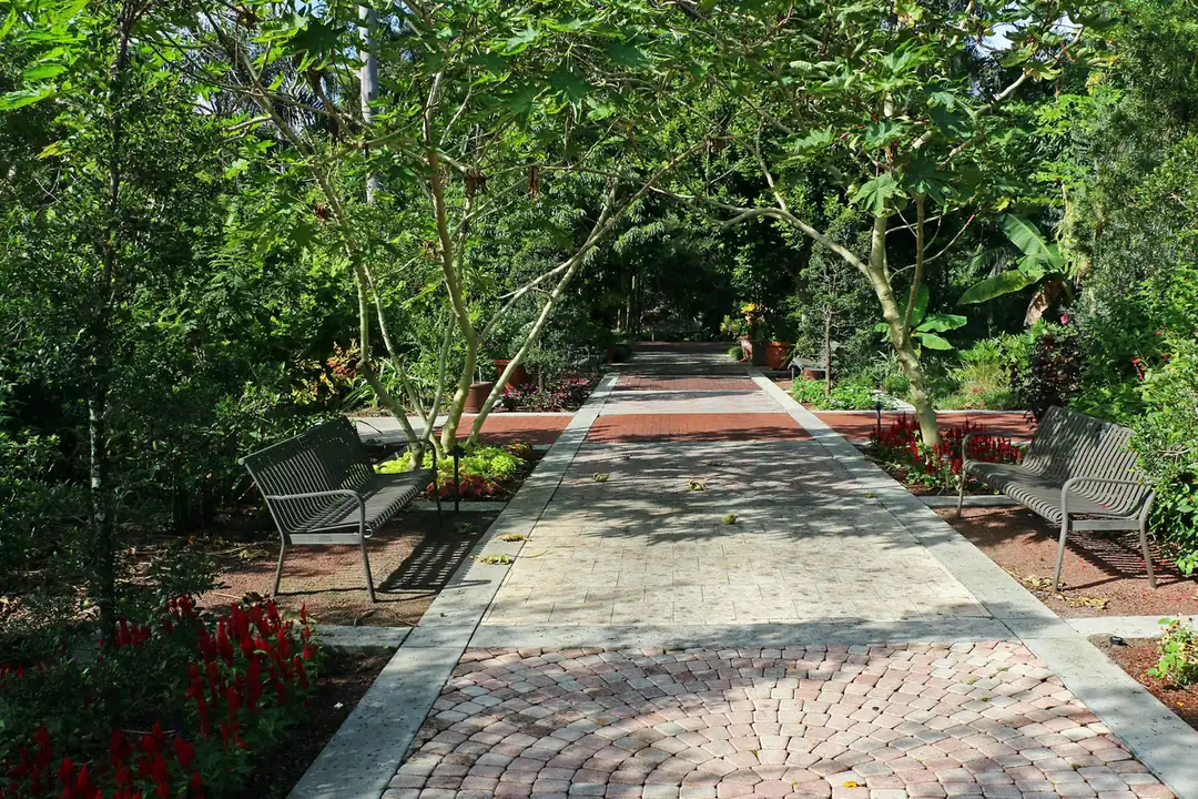 A shaded garden path with benches and red flowers under tropical trees at Leu Gardens