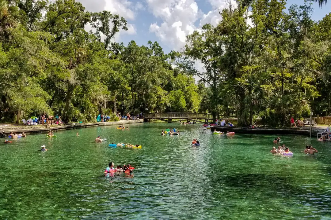 Swimmers in the clear green spring pool at Wekiwa Springs State Park, ringed by dense forest