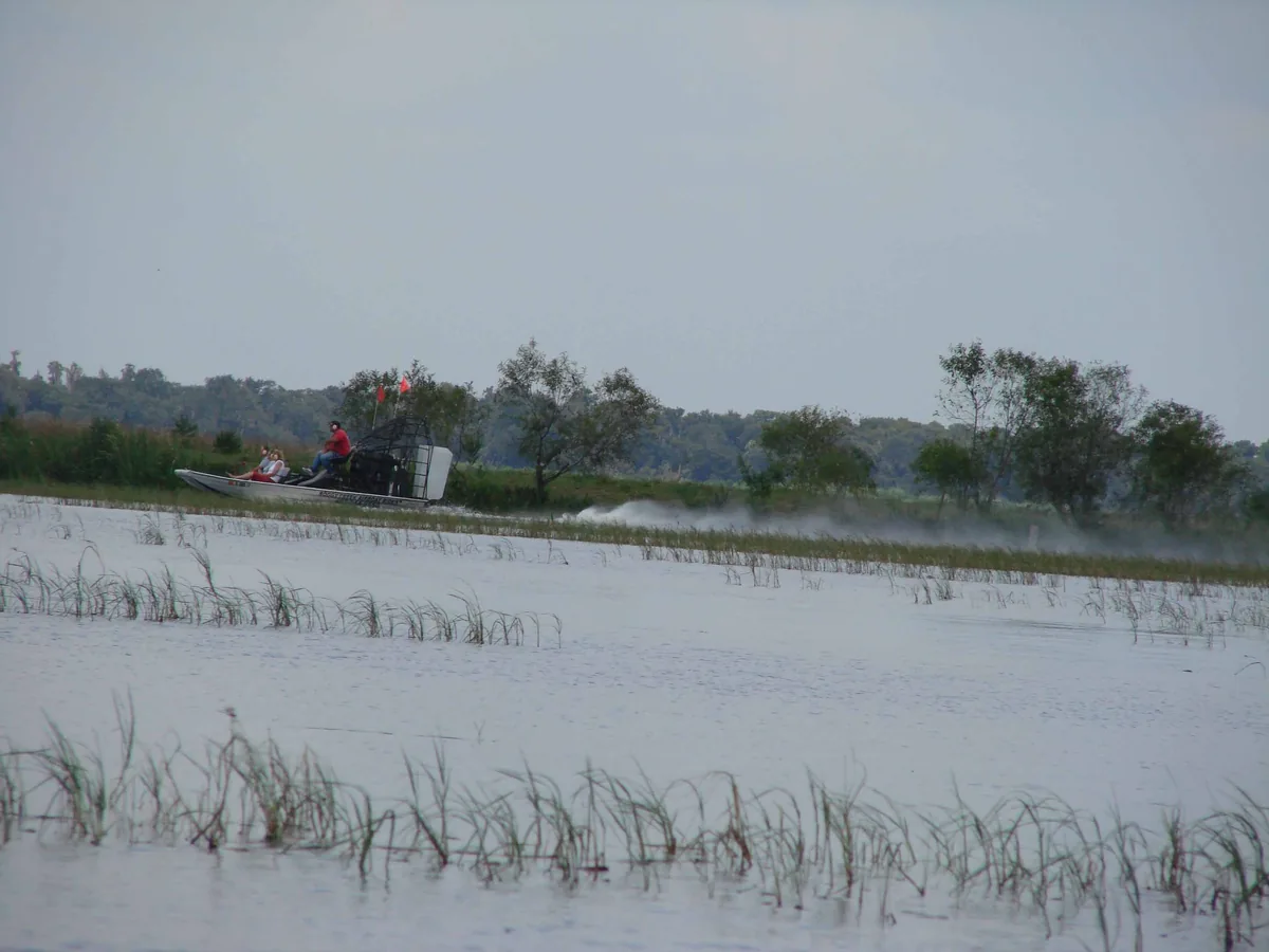 An airboat speeding across a shallow grassy marsh near Kissimmee, throwing up spray