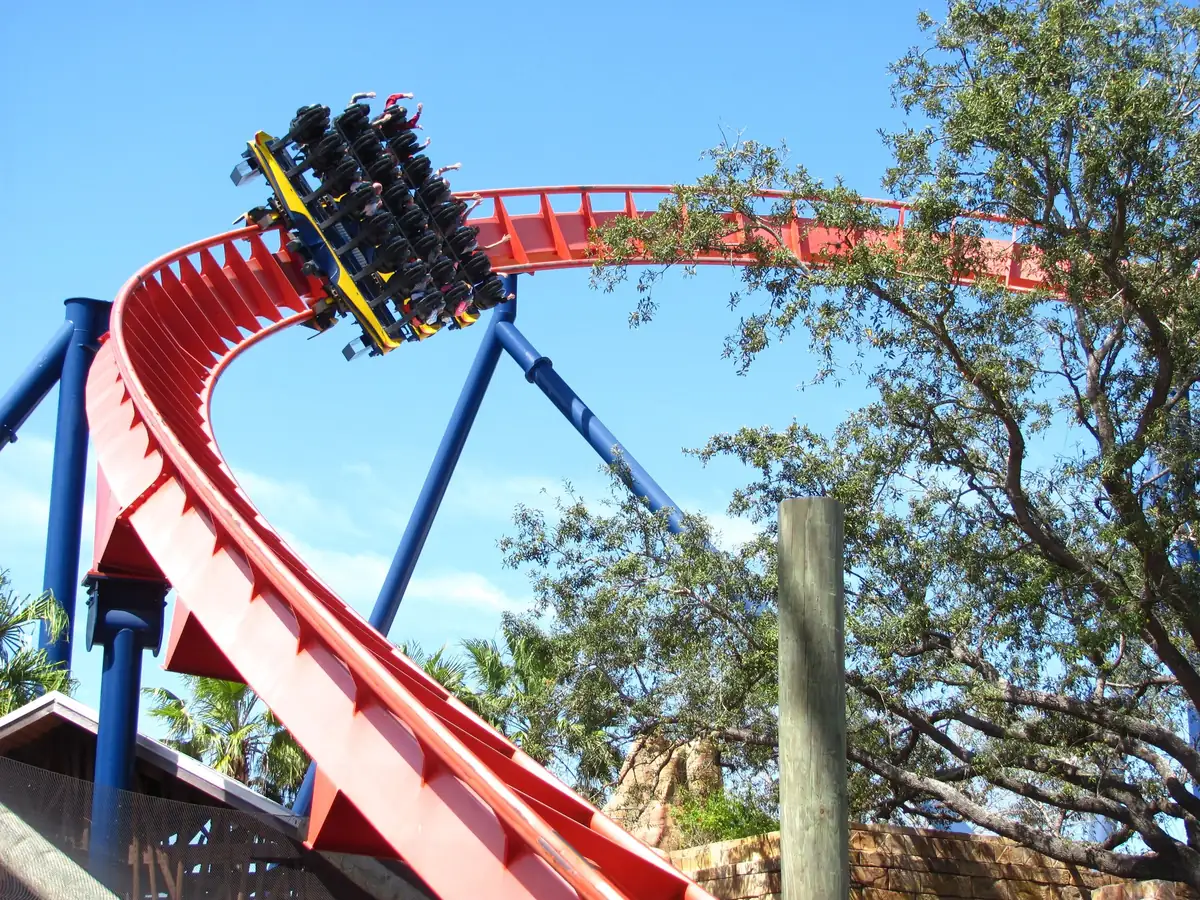 A SheiKra dive coaster train rounding its red track above the trees at Busch Gardens Tampa Bay