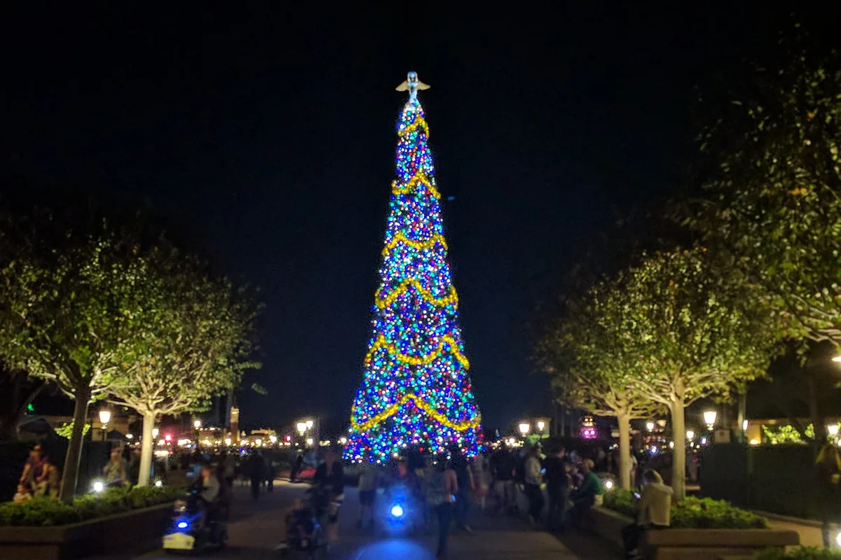 EPCOT's lit Christmas tree glowing at the end of a tree-lined walkway at night