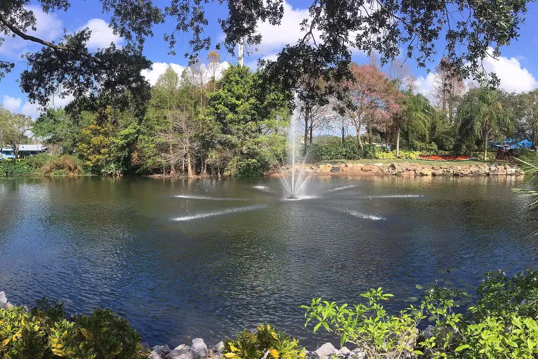 A fountain in a tree-lined lagoon inside SeaWorld Orlando under a blue sky