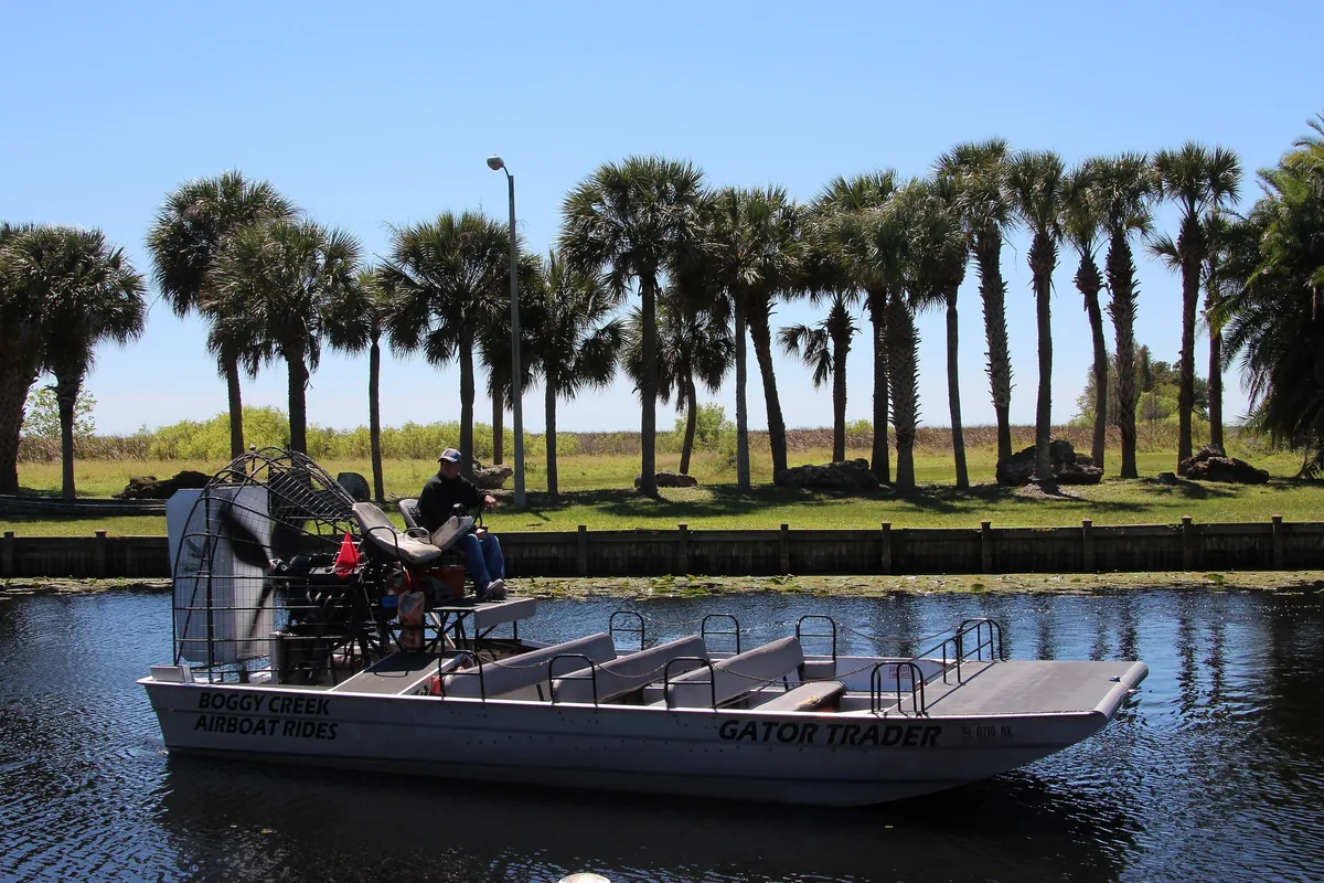 A Boggy Creek airboat on the water in Kissimmee with a row of palm trees behind