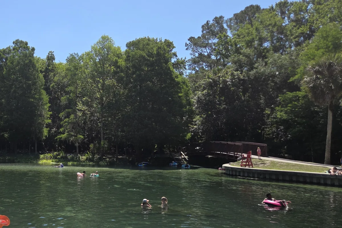 Clear green spring-fed swimming basin at Kelly Park near Apopka, ringed by tall oaks and palms