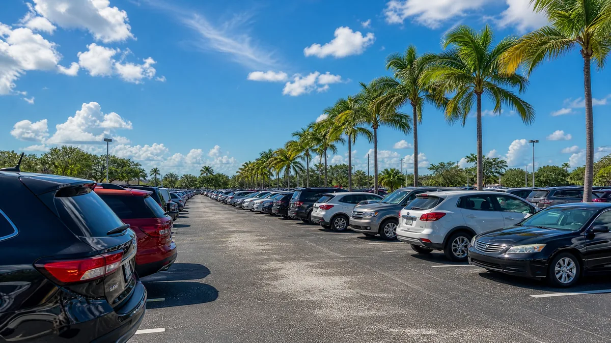 Rows of parked cars in a sunny open-air lot lined with palm trees