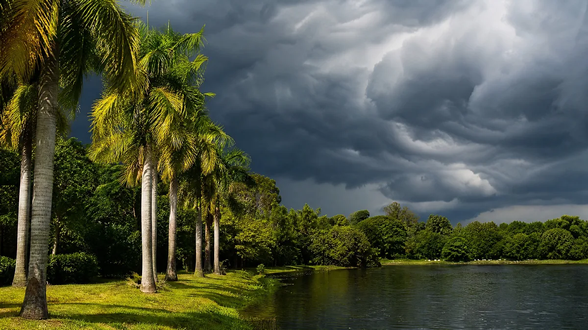 Dark afternoon thunderclouds building over palm trees and a lake