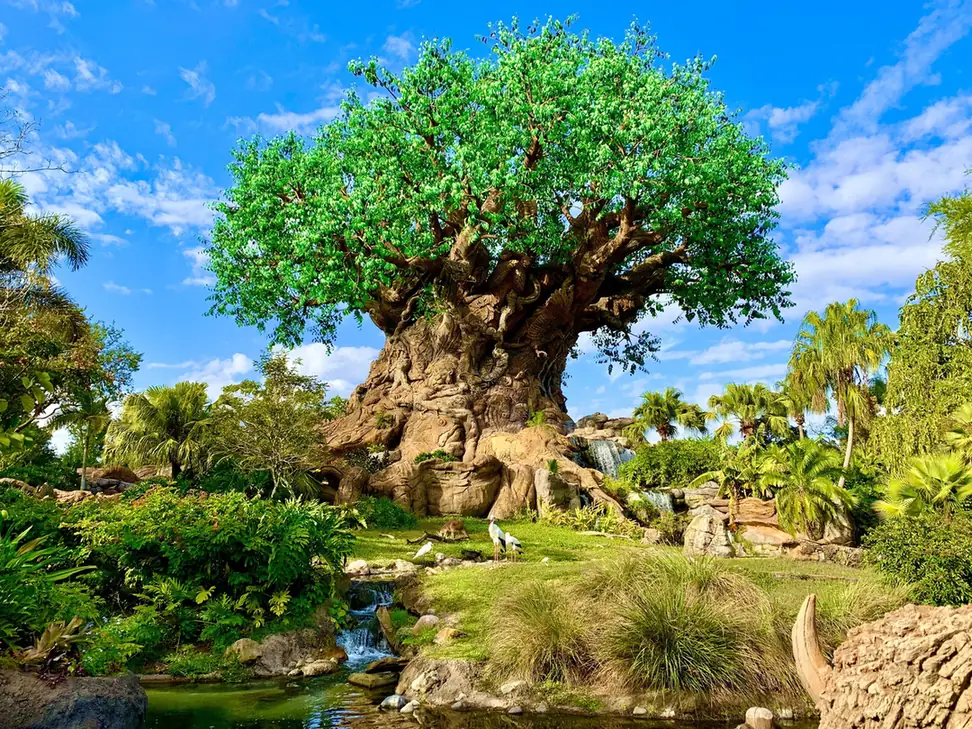 The Tree of Life at Disney's Animal Kingdom above lush gardens and a small stream