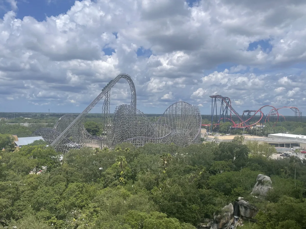 Iron Gwazi roller coaster rising above the tree canopy at Busch Gardens Tampa Bay