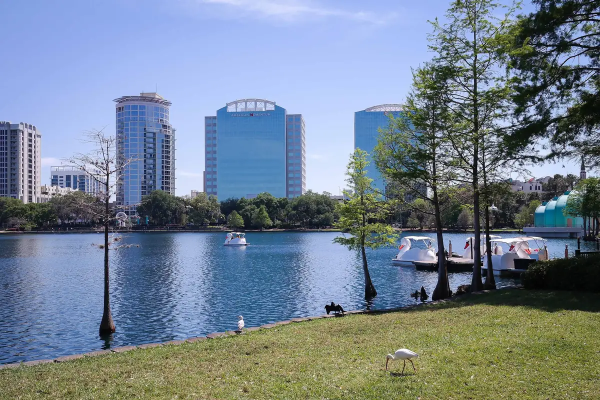Lakeside path at Lake Eola with cypress trees, swan paddle boats and downtown Orlando towers